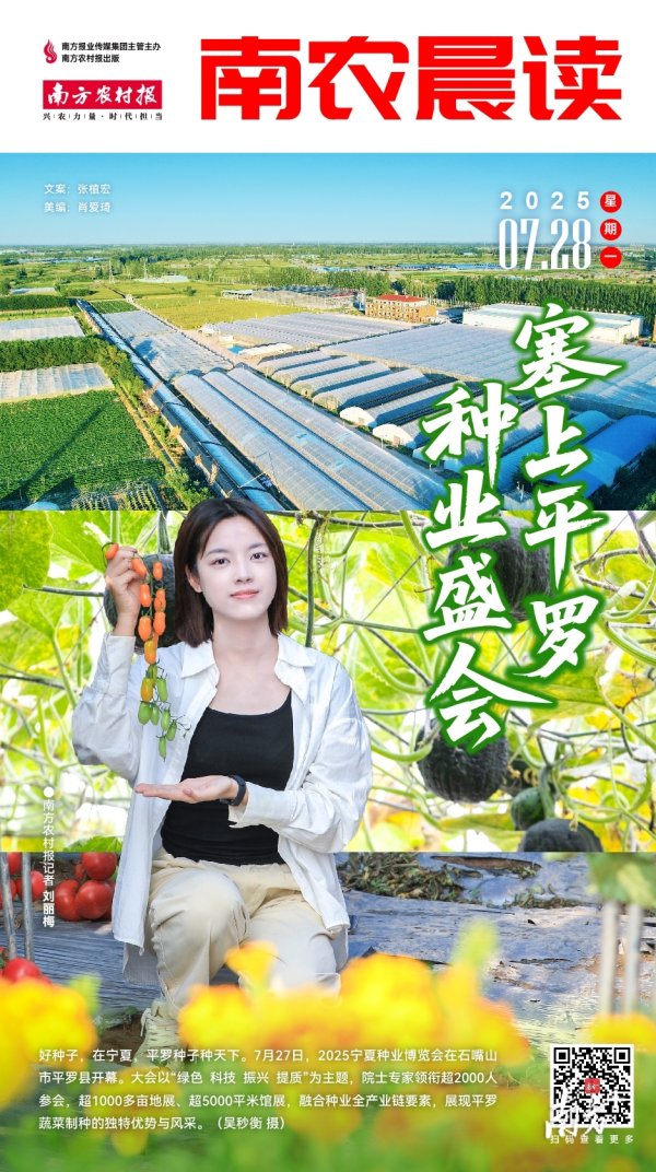 配资网app 南农晨读 | 塞上平罗 种业盛会